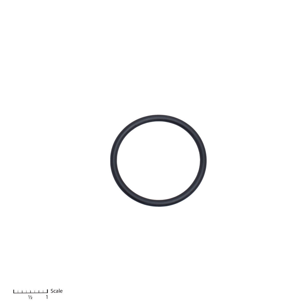 Bedford O-Ring (0-2489)