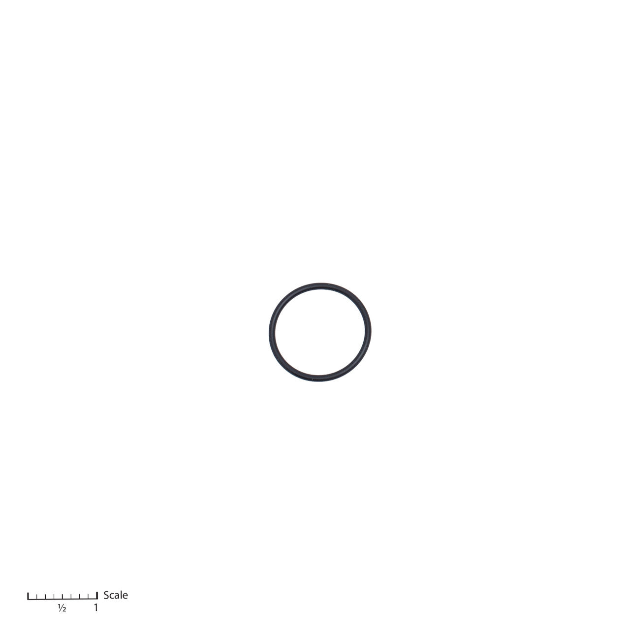 Bedford O-Ring (0-3113)
