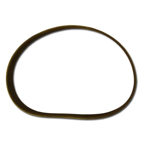 Ace Poly Belt 10 Groove