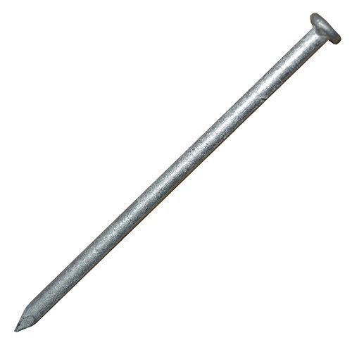 Common Nail, 16D