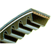 119" BX V-Belt Type BX116 Notched Bestorq