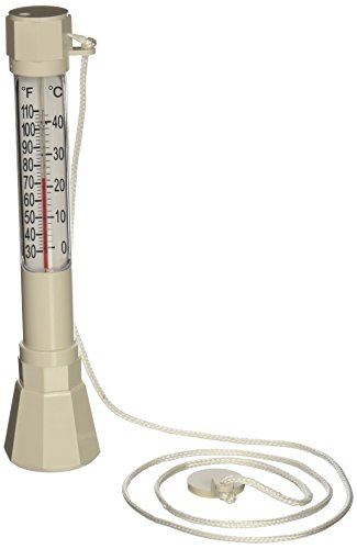 Pentair R141200 E-Z Read Combo Sink Or Float Thermometer #136