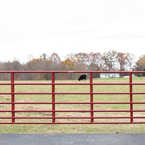 Tarter Steelmax Stock Gate 12 ft.