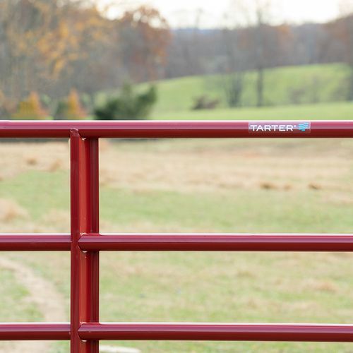 Tarter Steelmax Stock Gate 14 ft.