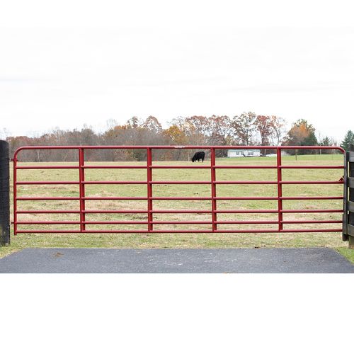 Tarter Steelmax Stock Gate 16 ft.