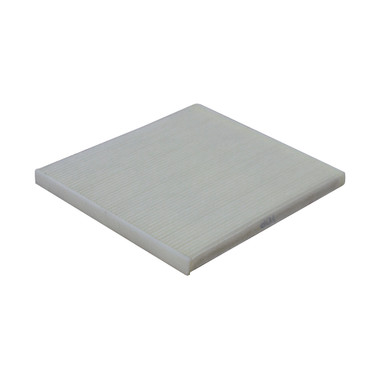 10" Exhaust Filter Matte Pentair 10100066H