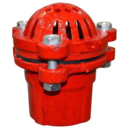 Dixon 2" Galvanized Foot Valve with Strainer