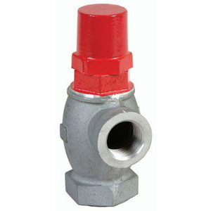 OPW 199ASV Anti Siphon Valve 2 in. NPT - 0 To 5 ft.