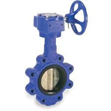 Smith Cooper 0160 Series 2 in. Cast Iron Gear Operated Butterfly Valve w/Nitrile Rubber Seals, Nickel Plated Iron Disc, Lug Style