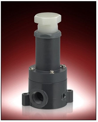 Plast-O-Matic Series RVDT & RVDTM 1/2 in. Poly Relief Valves w/ PTFE FKM Seals