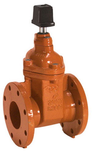 Smith Cooper Ductile Iron AWWA 250 lb. Gate Valve - Flanged - 2 in. - Op Nut