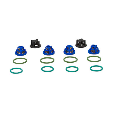 Valve Kit Pentair Hypro 9915-KIT2101