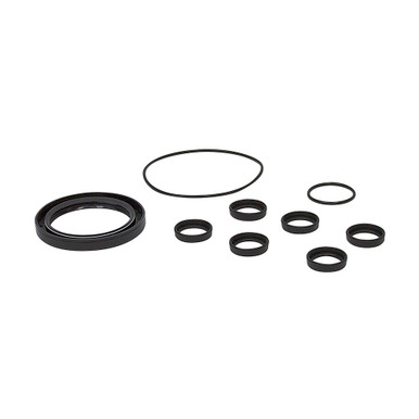 Pump Repair Kit Pentair Hypro 9915-KIT2202