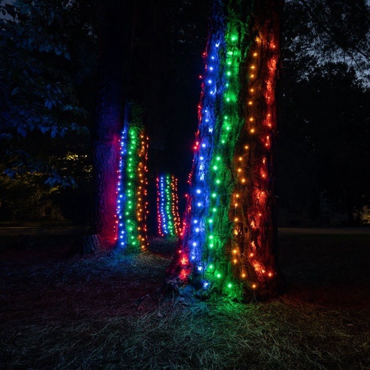 2' x 6' Incandescent Tree Trunk Wrap Lights