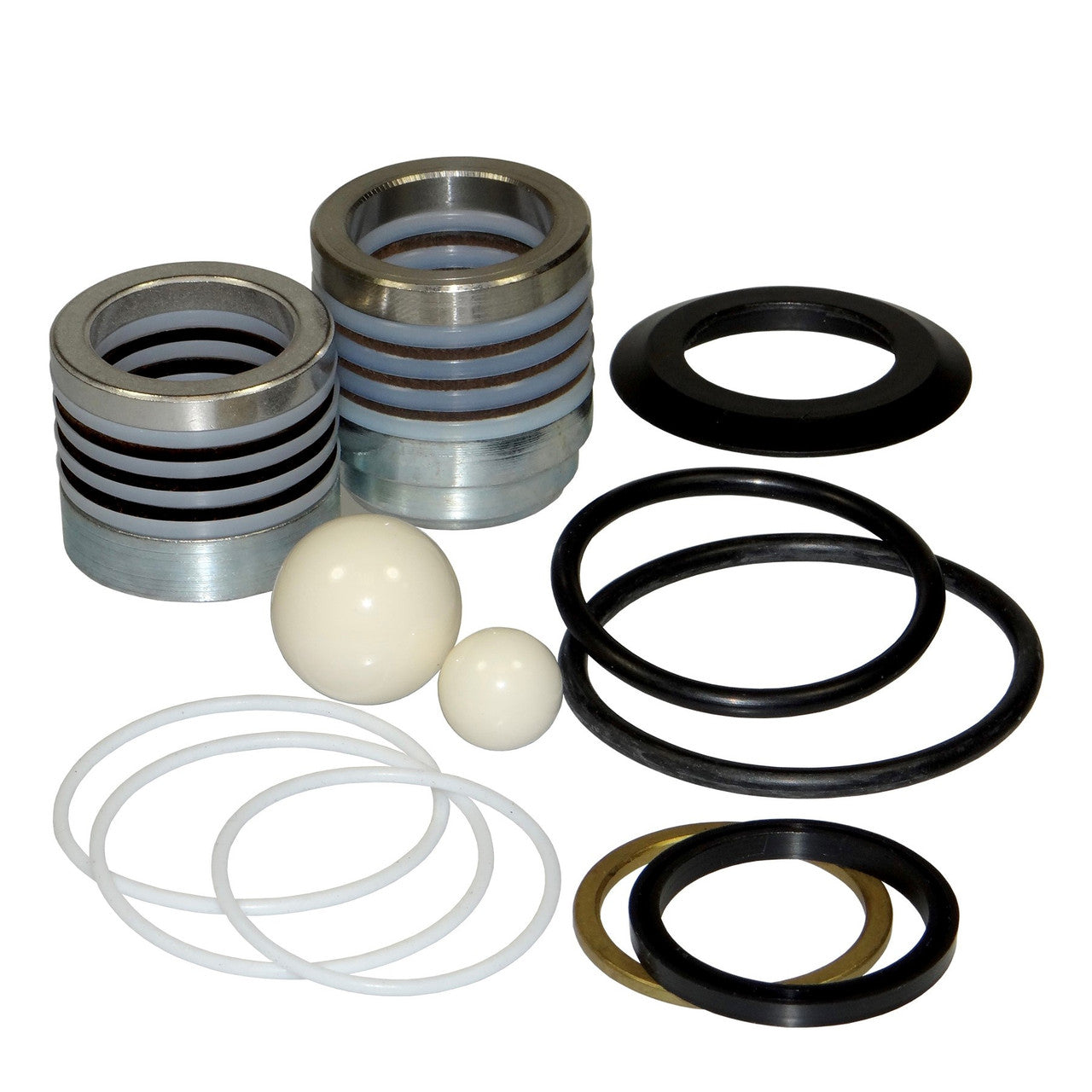 Graco 24X096 Pump Repair Kit Replacement