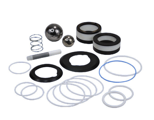 Graco 25D248 Pump Repair Kit Replacement