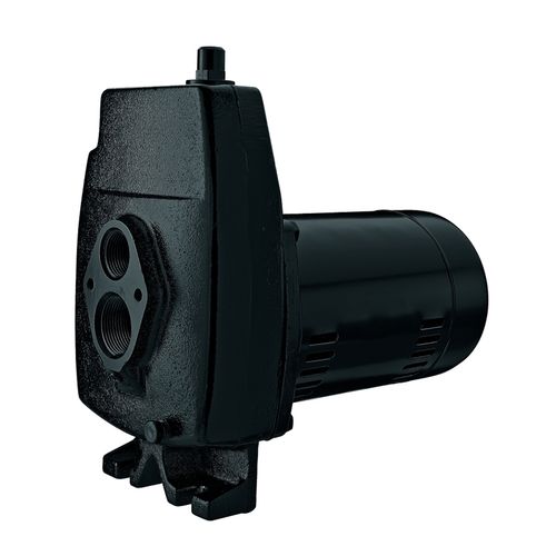 Flotec FP4212 1/2 HP Cast Iron Convertible Jet Pump
