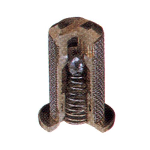 TeeJet Brass Strainer 50 Mesh W/5 PSI Check Valve