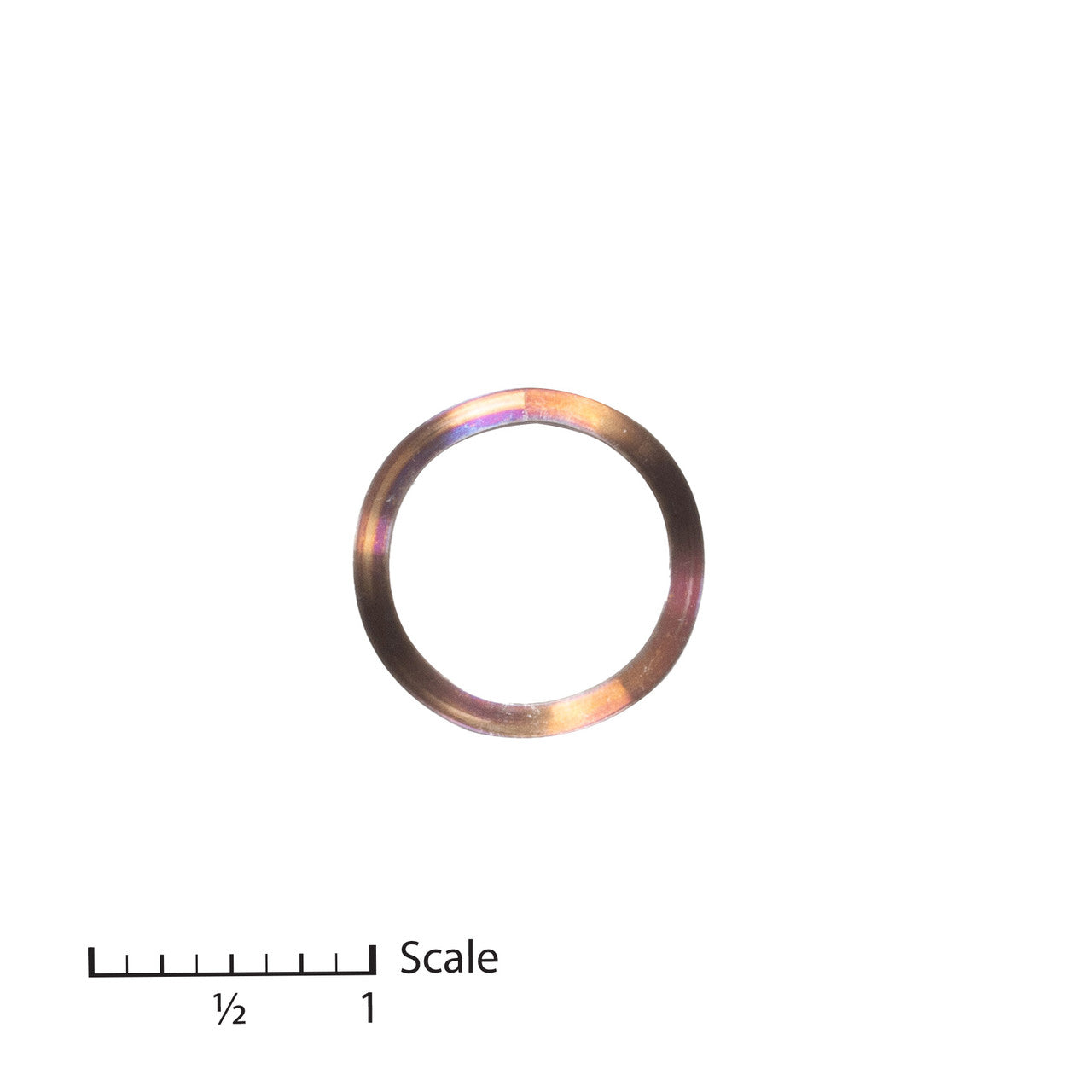 Wagner 9894231 Replacement Wave Spring