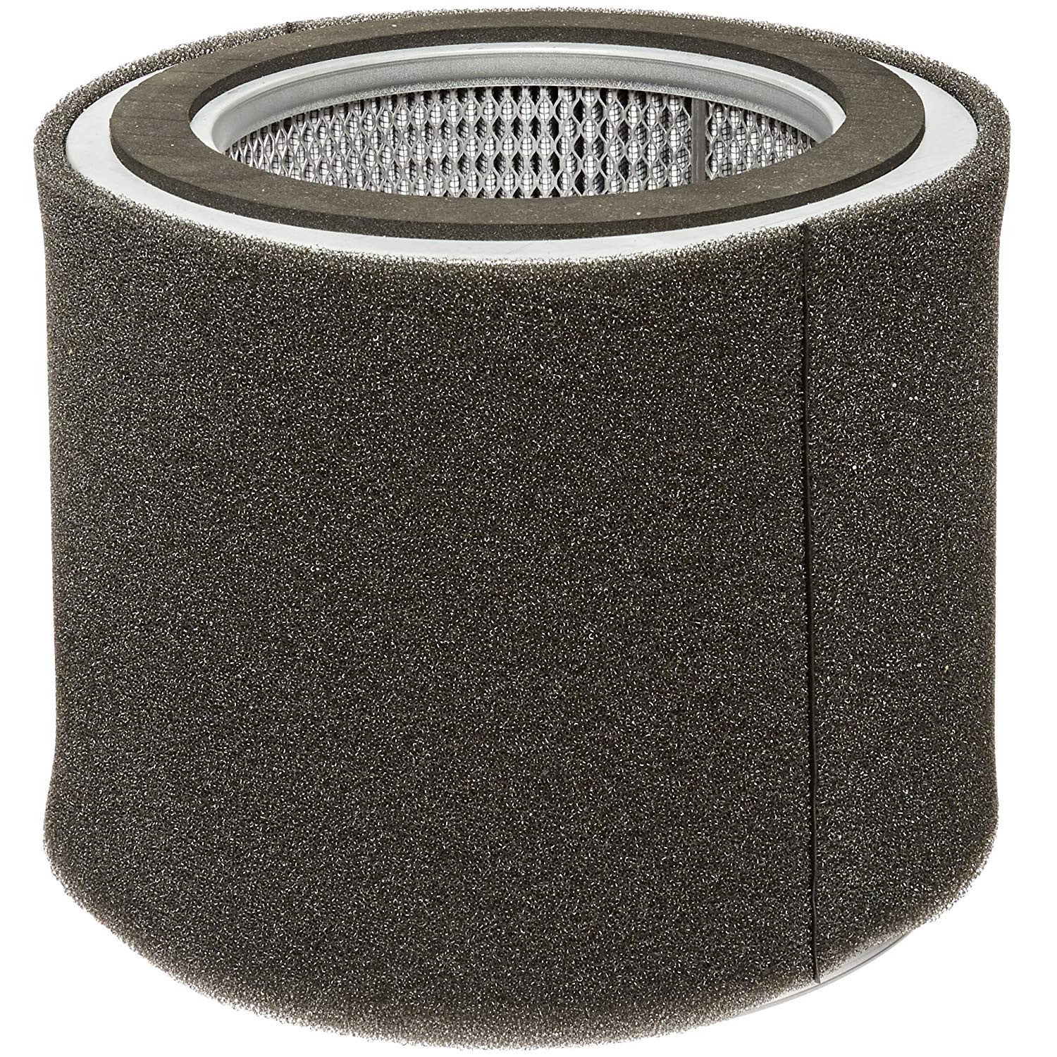 Solberg 377P Air Filter Element