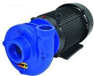 AMT 426095 Heavy Duty Cast Iron Straight Centrifugal Pump