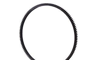 4900286 Ring Gear | Deutz