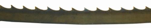 Morse Wood-cutting Band Saw Blade, 183" (15'3") x 1/4" x 6T