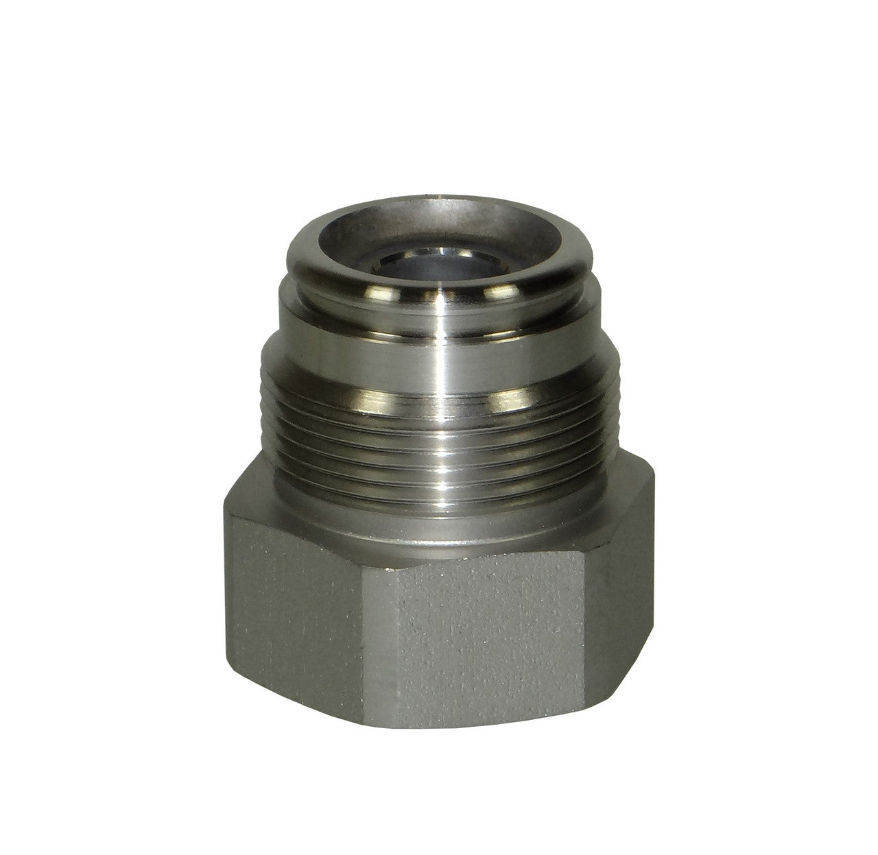 Graco 224966 Replacement Intake Valve