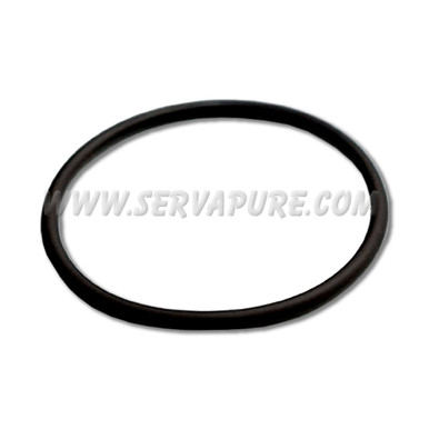 Blue-White 90003-134, O-Ring for 1" F-461 Flow Meters