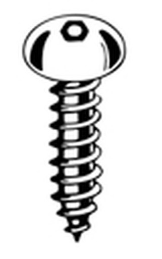 #10A X 1 Button Head Socket Pin-Head Security Sheet Metal Screw, 18-8 Stainless Steel (100/Pkg.)