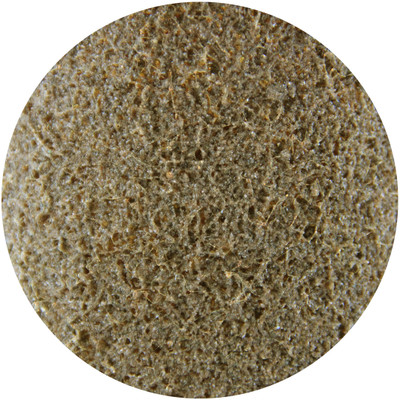 7" Hook & Loop Coarse Surface Conditioning Disc | Bibielle SCD170