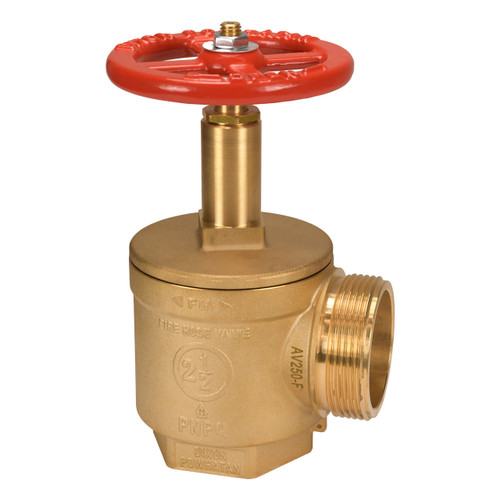 Dixon Global 2 1/2 in. NPT x 2 1/2 in. NH (NST) Brass Angle Hose Valve