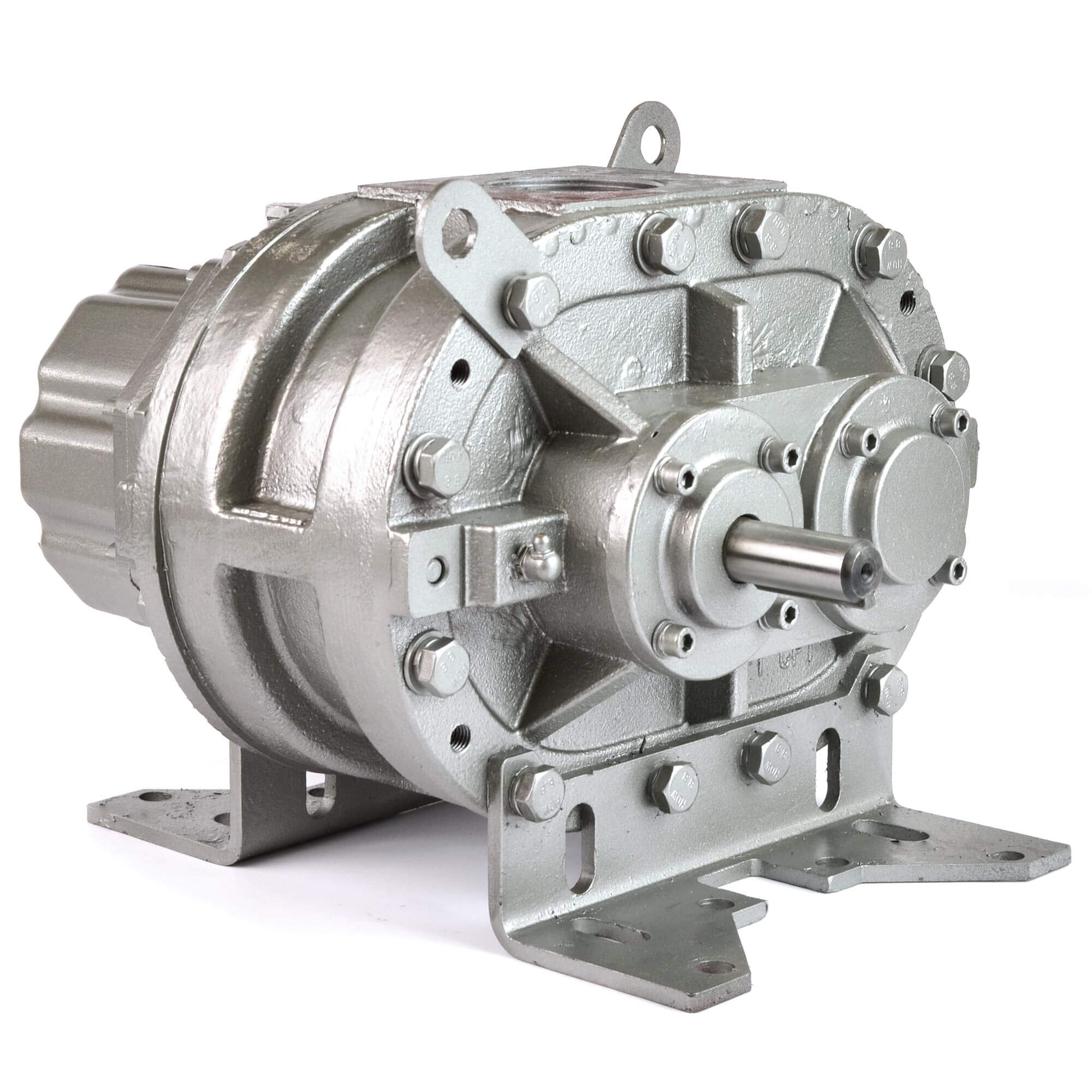 Eurus ZZ3M Positive Displacement Blower
