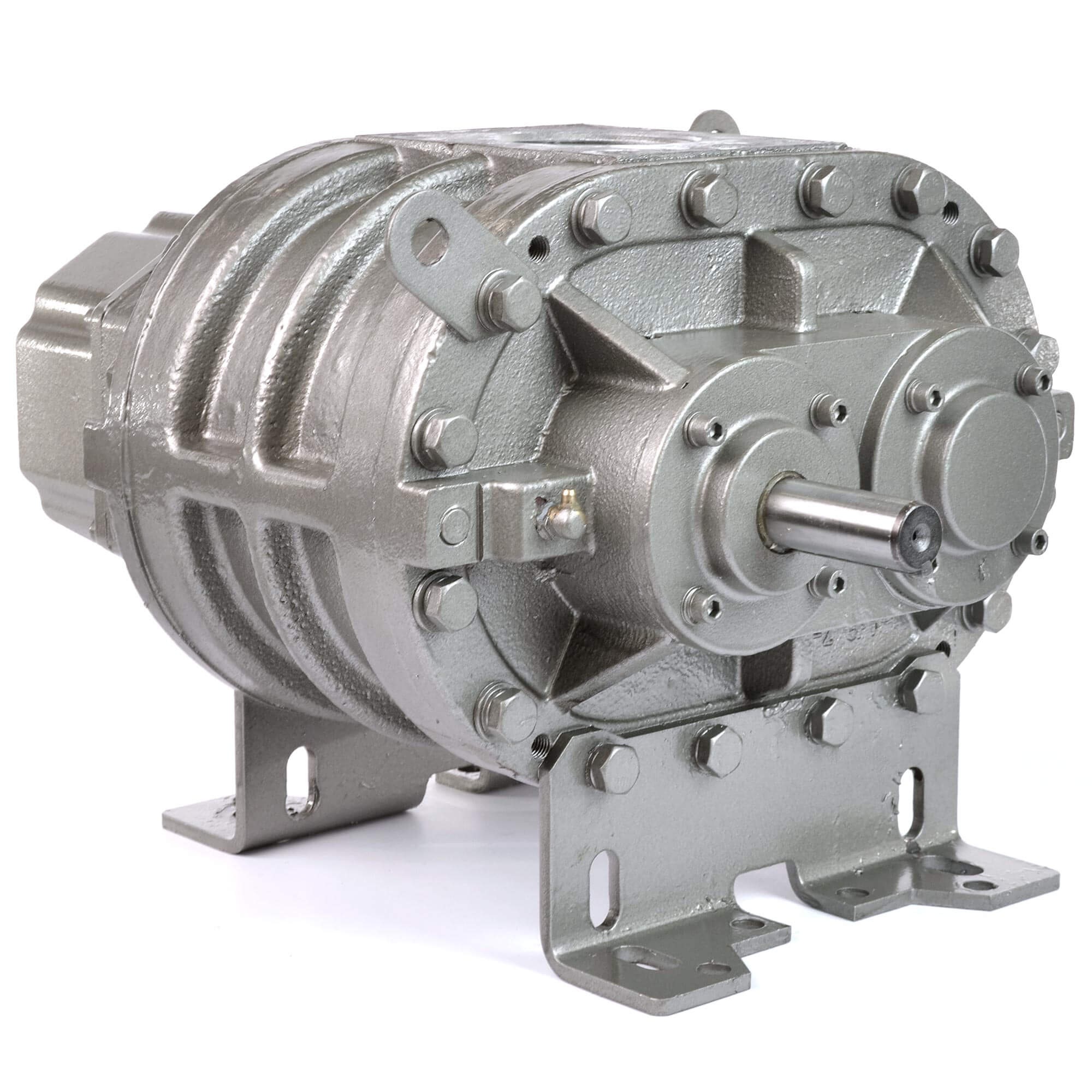 Eurus ZZ4M Positive Displacement Blower