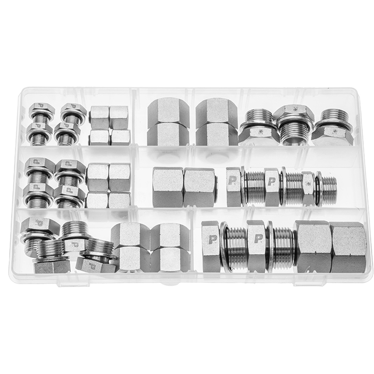 HKIT-SCP-BSPP