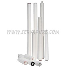 Harmsco Pleated Polysulfone Membrane Cartridge, 0.65 Micron, 30 Inch Length, Case of 6