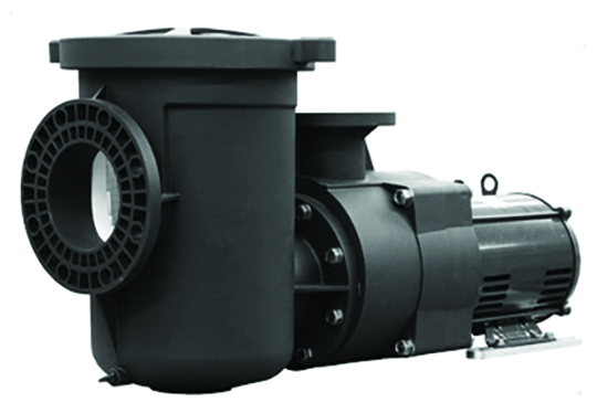 Pentair EQ Series Plastic Commercial Pump with Strainer