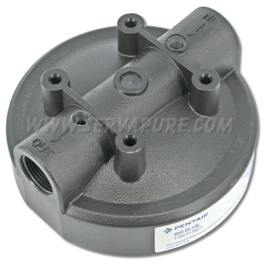 Pentek 154077-DT, 1" In/Out, Black Cap Double 1/4" Tap for Gauges for Big Blue Housing