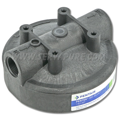 LIMITED QUANTITIES - NO REPLACEMENT - Pentek 154077, 1'' In/Out, Black Cap, no PR for Big Blue Housings