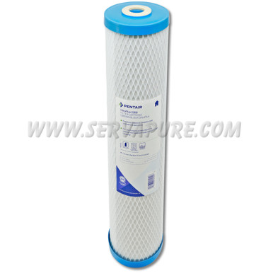 Pentek 355753-43, ChlorPlus-20BB Chloramine Reduction Water Filter