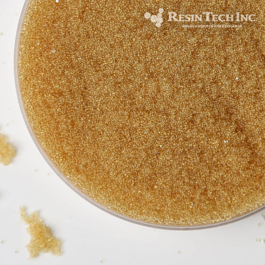 ResinTech CGS Residential Cation Exchange Resin, Na Form, 1 Cubic Foot