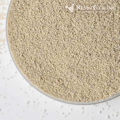 ResinTech SACMP-H Cation Exchange Resin, H Form, 1 Cubic Foot