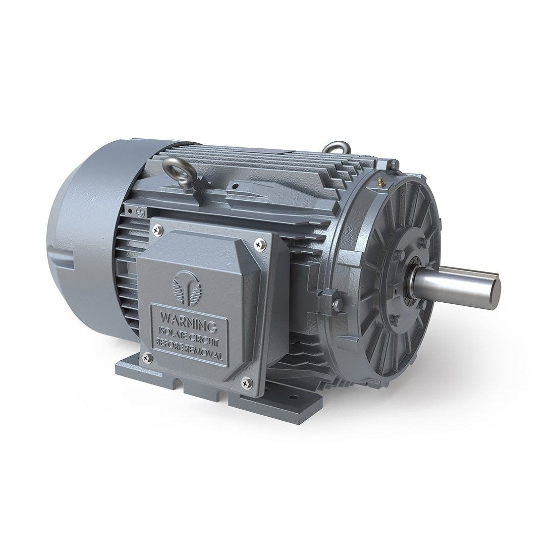 TechTop 10 HP NEMA Premium TEFC Cast Iron Motors