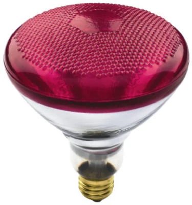 Flood Light Bulb, Red, 100-Watts