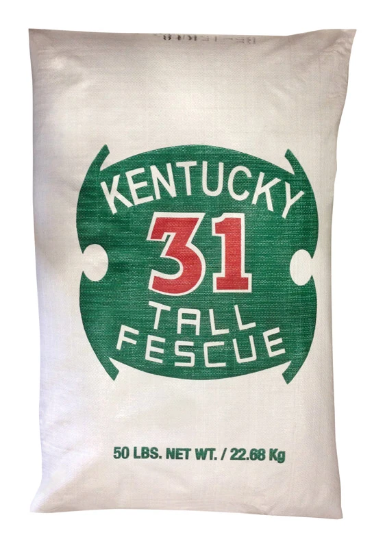 Kentucky 31 Coated Tall Fescue Grass Seed, 50 Lbs.