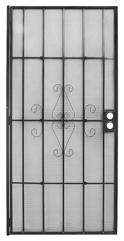 Regal Series Security Door, Black Steel, 38.5 x 81.5-In.