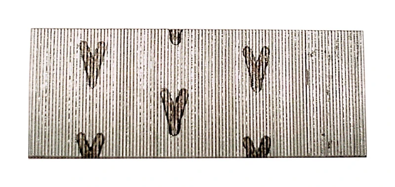 Collated Micro Pin Nails, Headless, 23 Gauge, 1 In., 2,600-Ct.