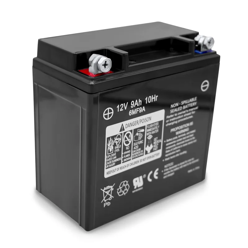 Battery Spare Part for TWG210A 210 Amp Welder Generator