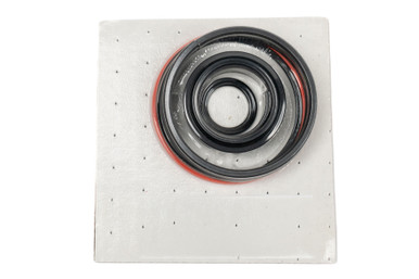 WC 4 in. Bore Cylinder Seal Kit: 2 Rod Dia.