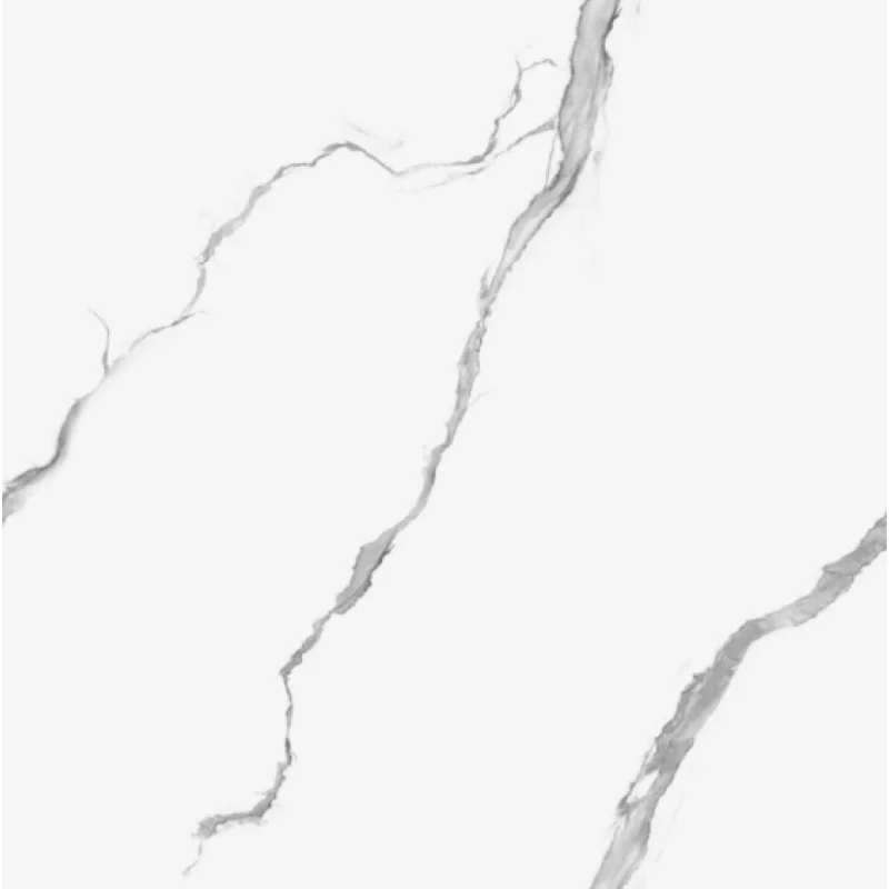 PPY66010 VIGO 60×60 (23.6″ x 23.6″) Floor Tile 4PPB 3.88 sqft/p